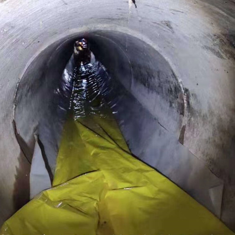 龙江管道光固化修复